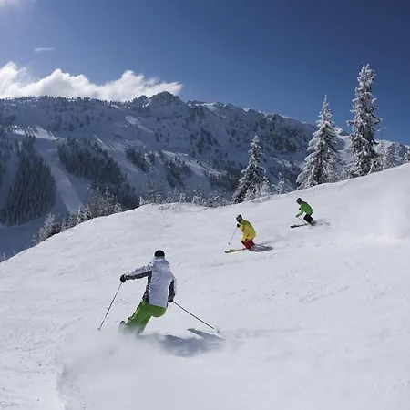 In Schwendau Near Lifts